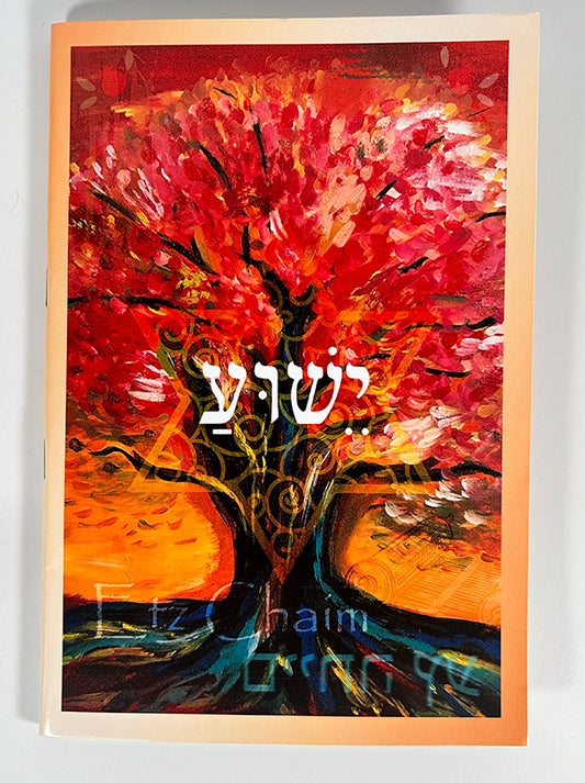 Tree of Life tree "Etz Chaim" Notebook